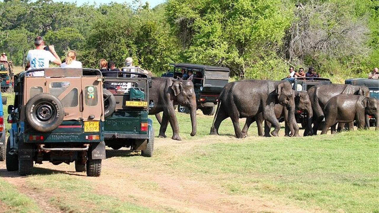 Soukromé safari národního parku Minneriya