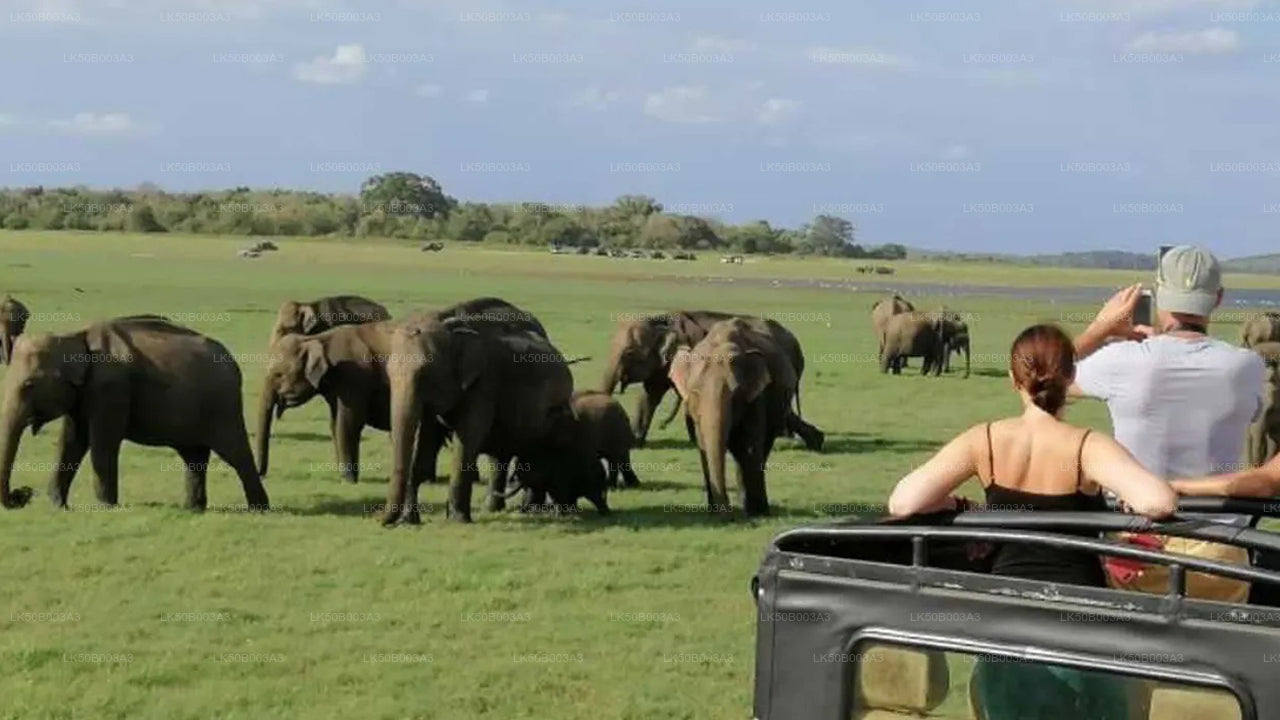Soukromé safari národního parku Minneriya
