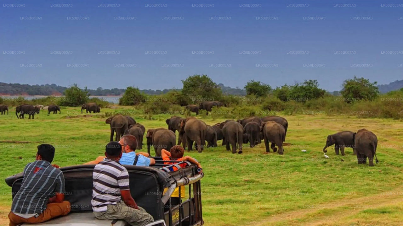 Soukromé safari národního parku Minneriya