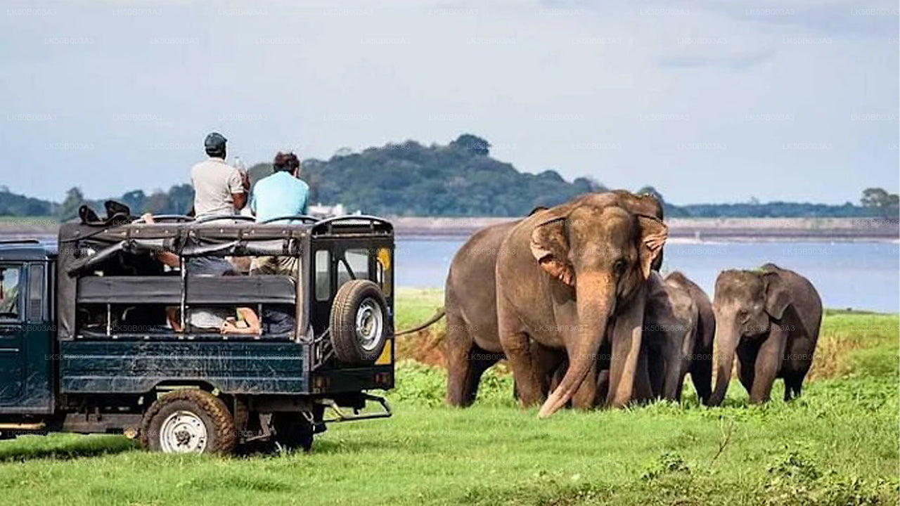 Soukromé safari národního parku Minneriya