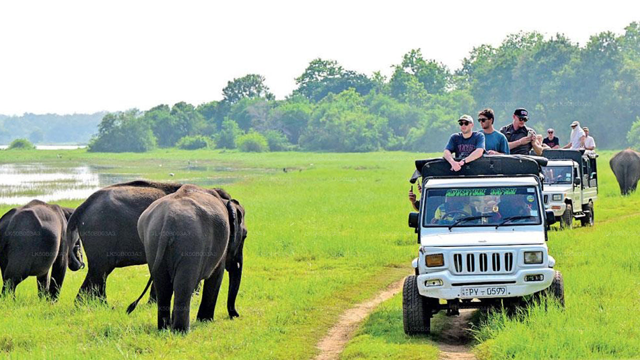 Soukromé safari národního parku Minneriya
