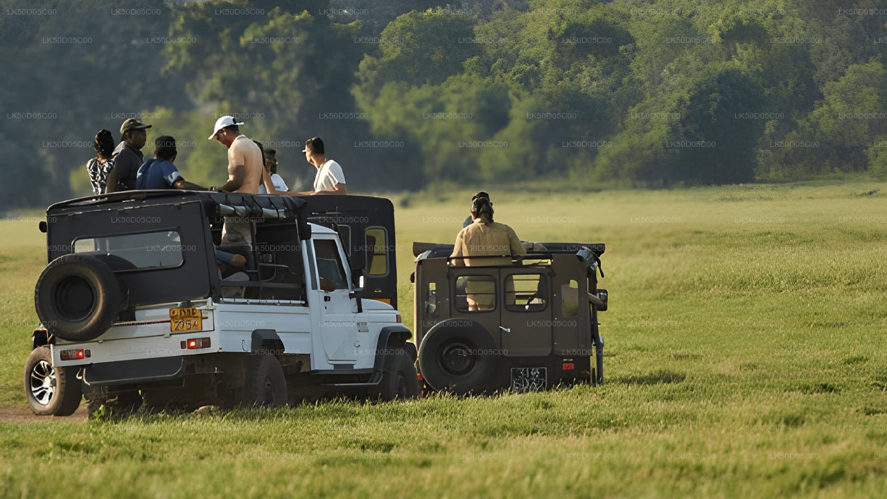 Soukromé safari národního parku Kaudulla ze Sigiriya