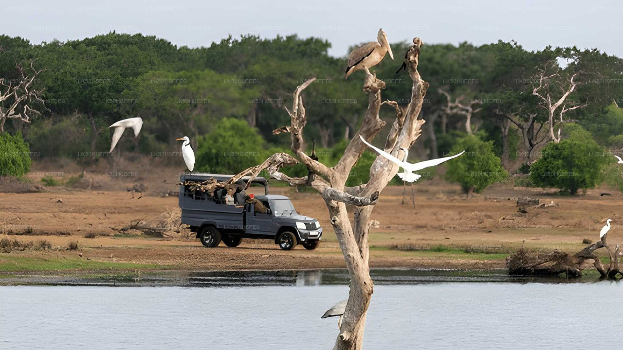 Bundala National Park Private Safari