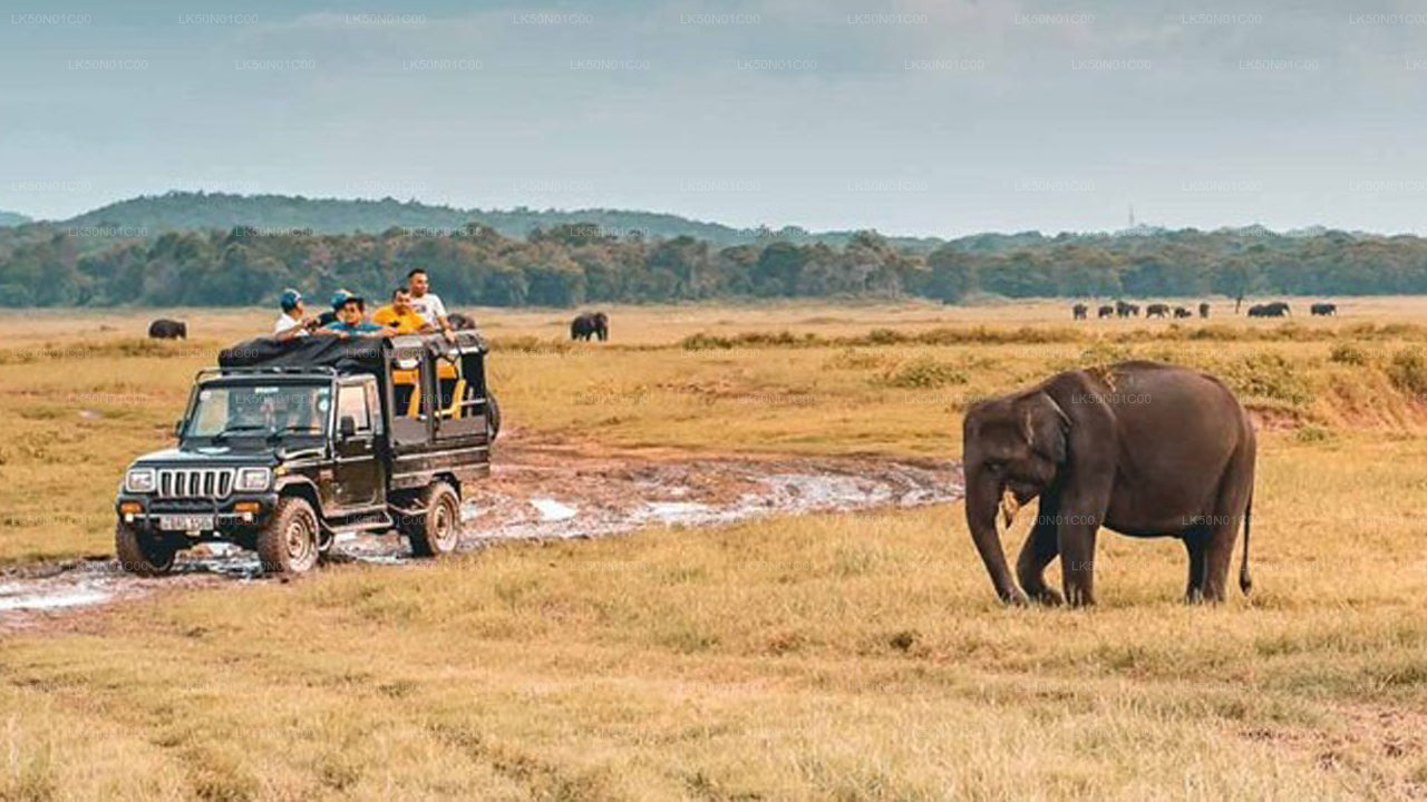 Soukromé safari národního parku Maduru Oya s přírodovědcem