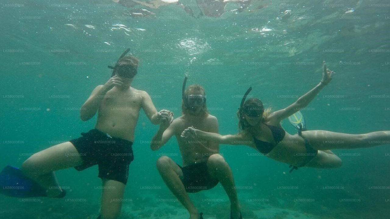 Šnorchlování z Ahangamy