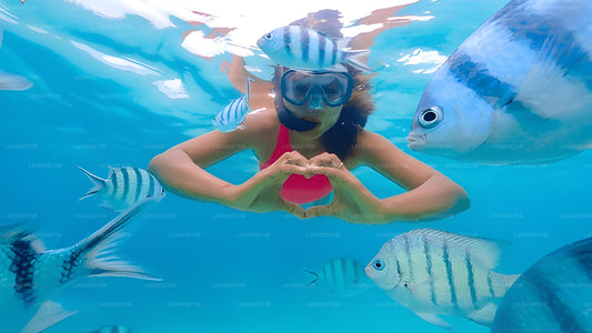 Šnorchlování s mořskými želvami z Pigeon Island