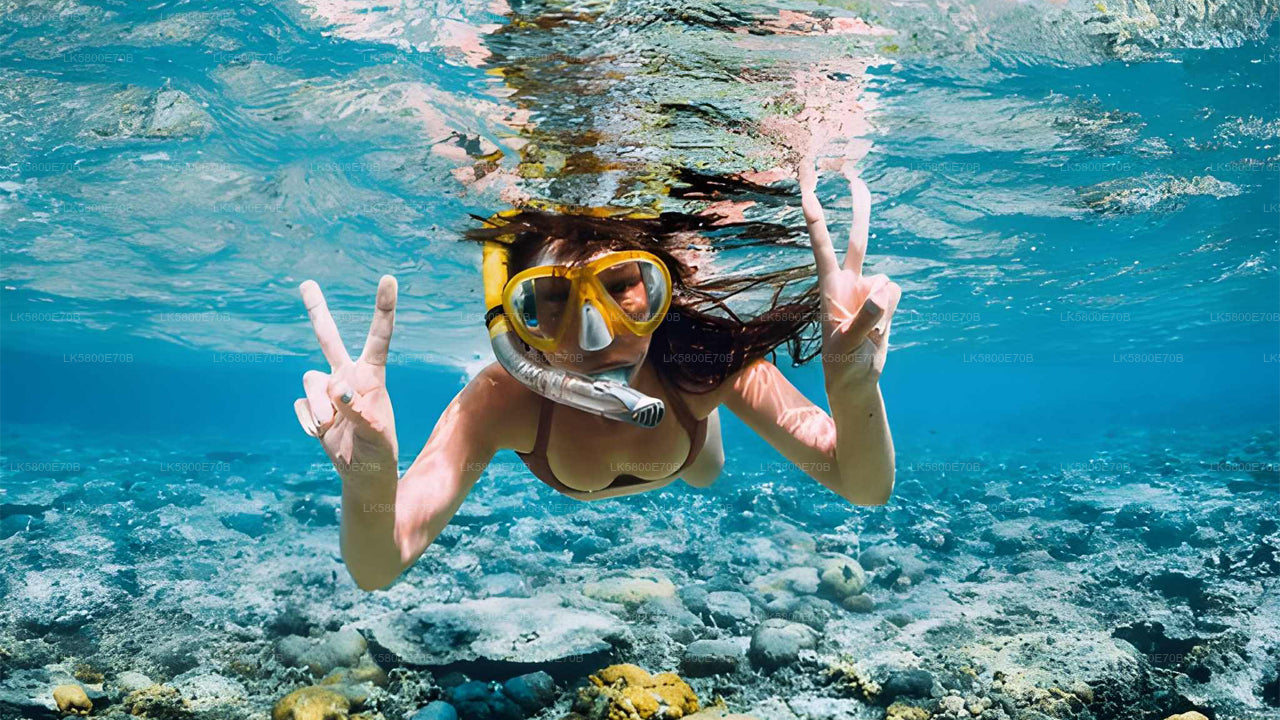 Šnorchlování s mořskými želvami z Bentoty