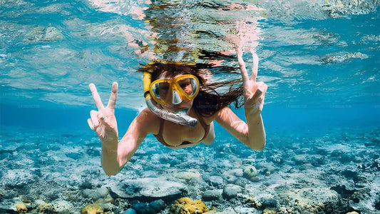 Šnorchlování s mořskými želvami z Bentoty