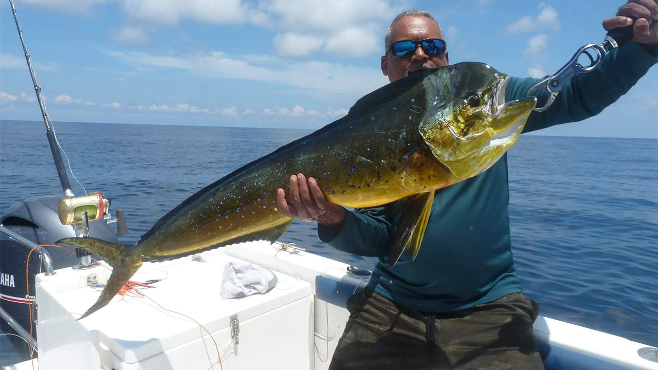 Rybaření na trollerech z Galle