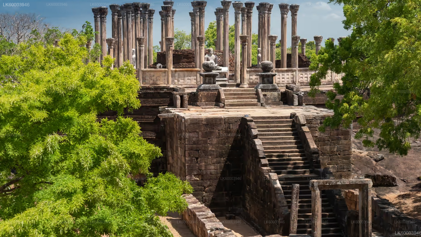 Private Transfer: Sigiriya to Kandy with Polonnaruwa Ancient City Tour