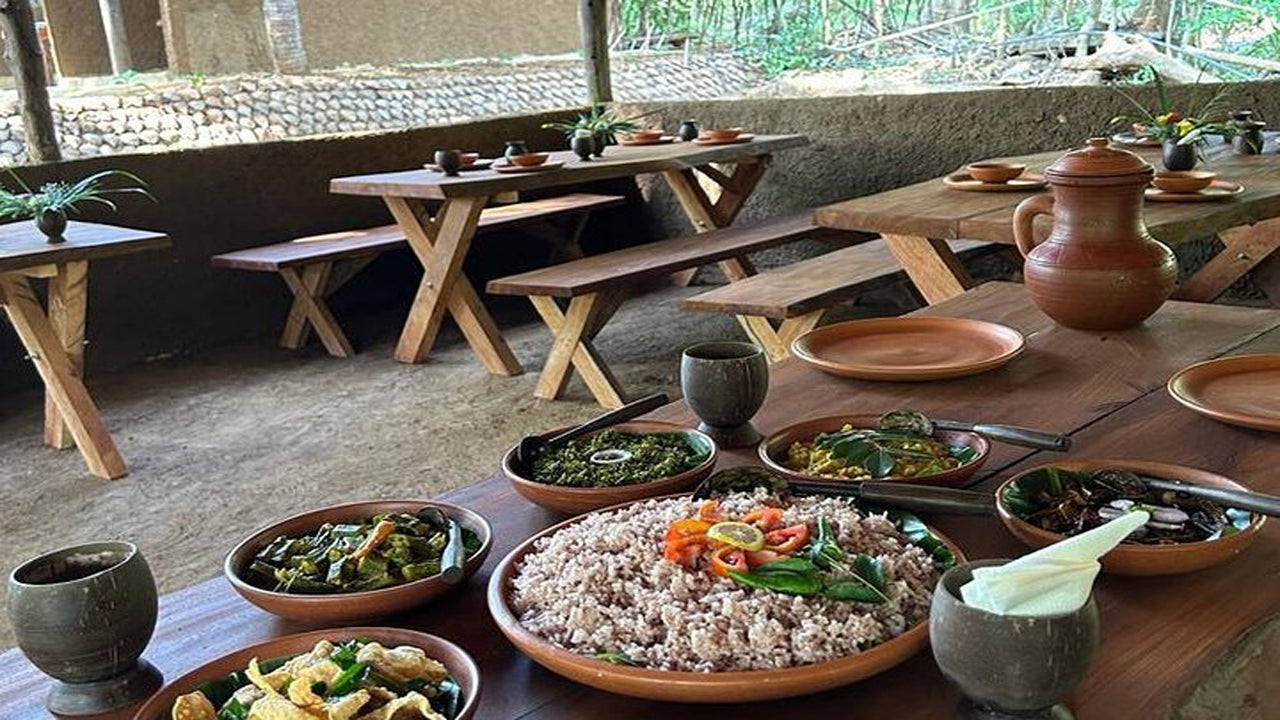 Srílanské zemědělství, drahokamový důl a vesnický zážitek z Cejlonu 1850