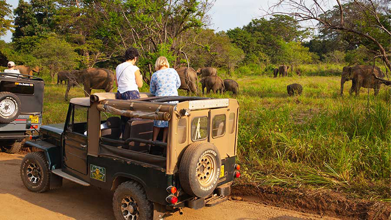 Jednodenní výlet do Hurulu Eco Park Safari z Pasikudy