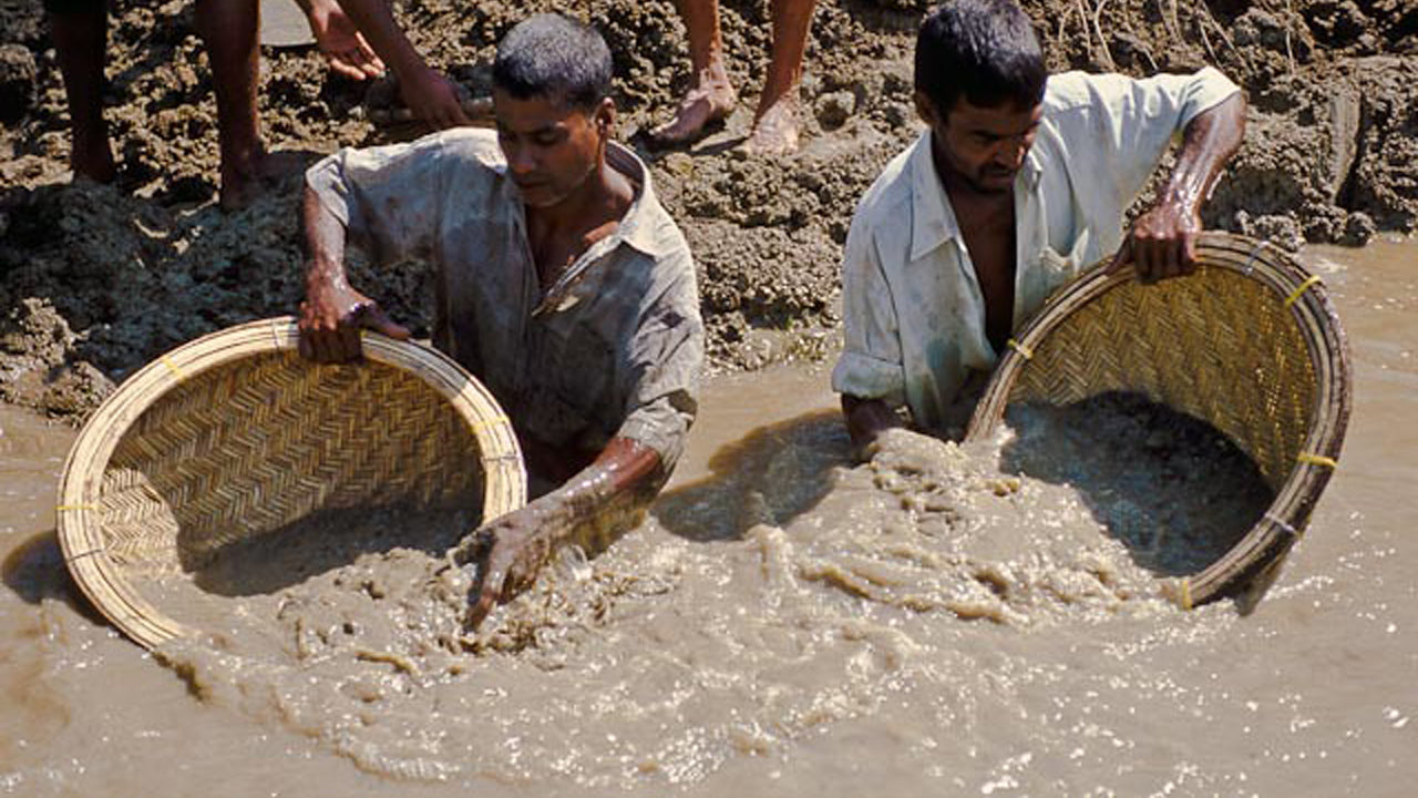 Srílanské zemědělství, drahokamový důl a vesnický zážitek z Cejlonu 1850
