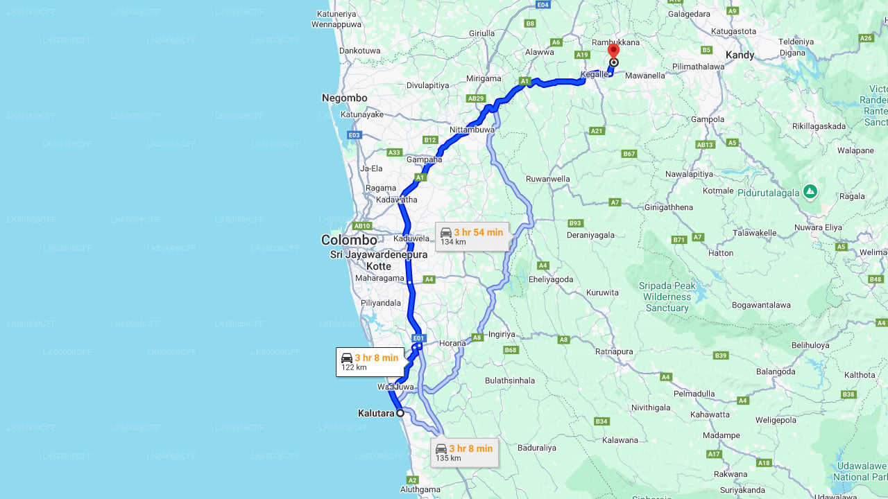 Millennium Elephant Foundation from kalutara