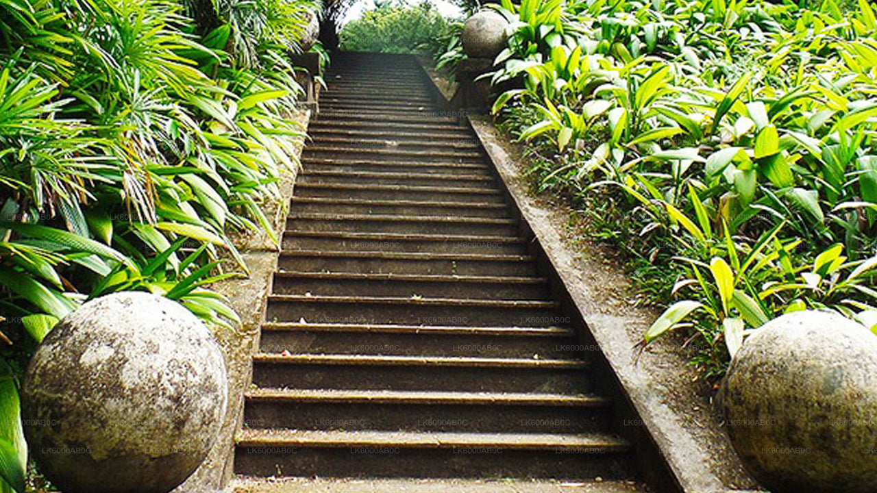 Bentota City Tour a Galle z Beruwala