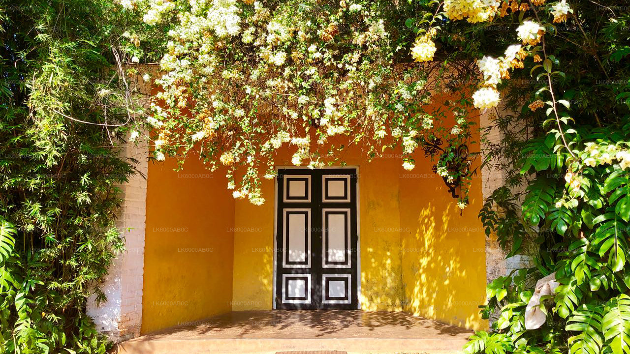 Bentota City Tour a Galle z Beruwala