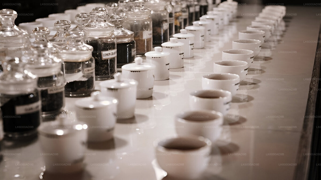 Southern Coast Highlights from Kosgoda