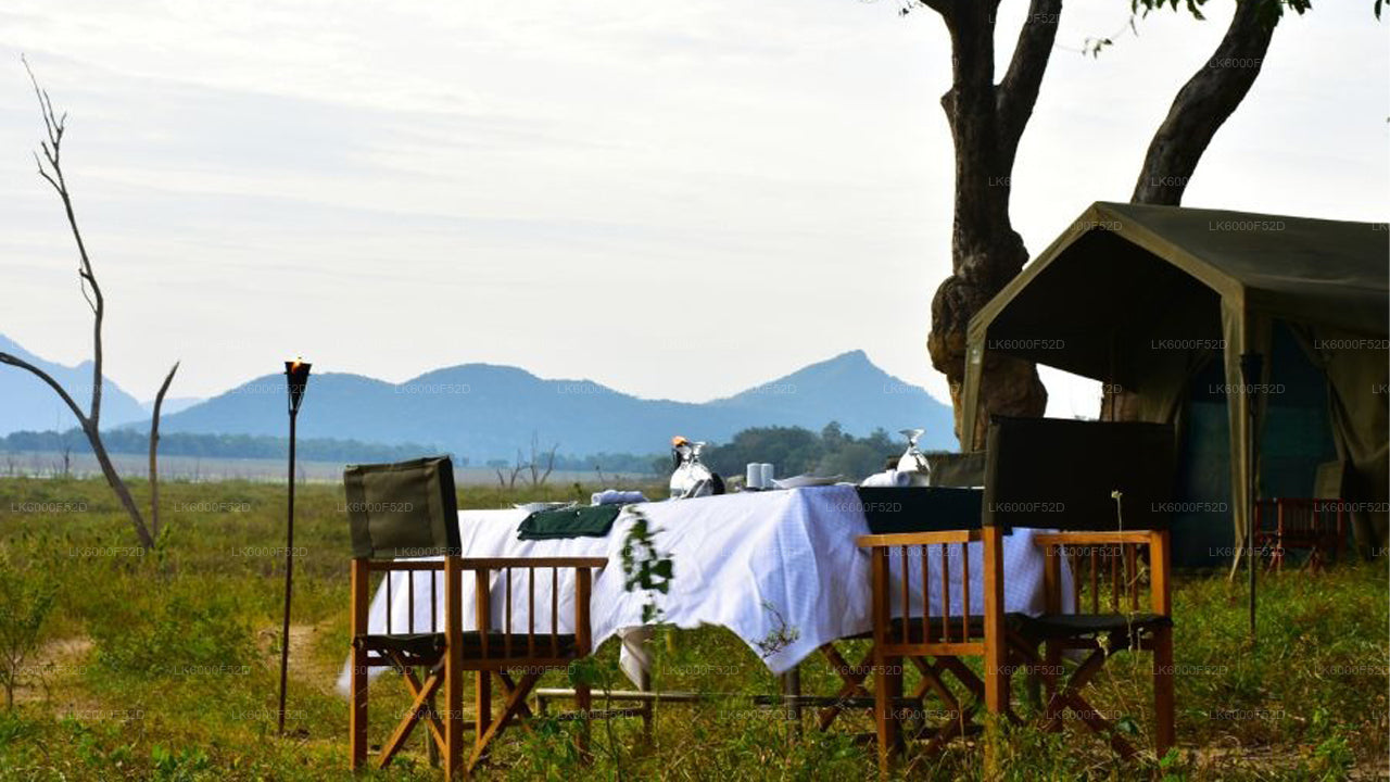 Camping Experience in Gal Oya (3 Days)