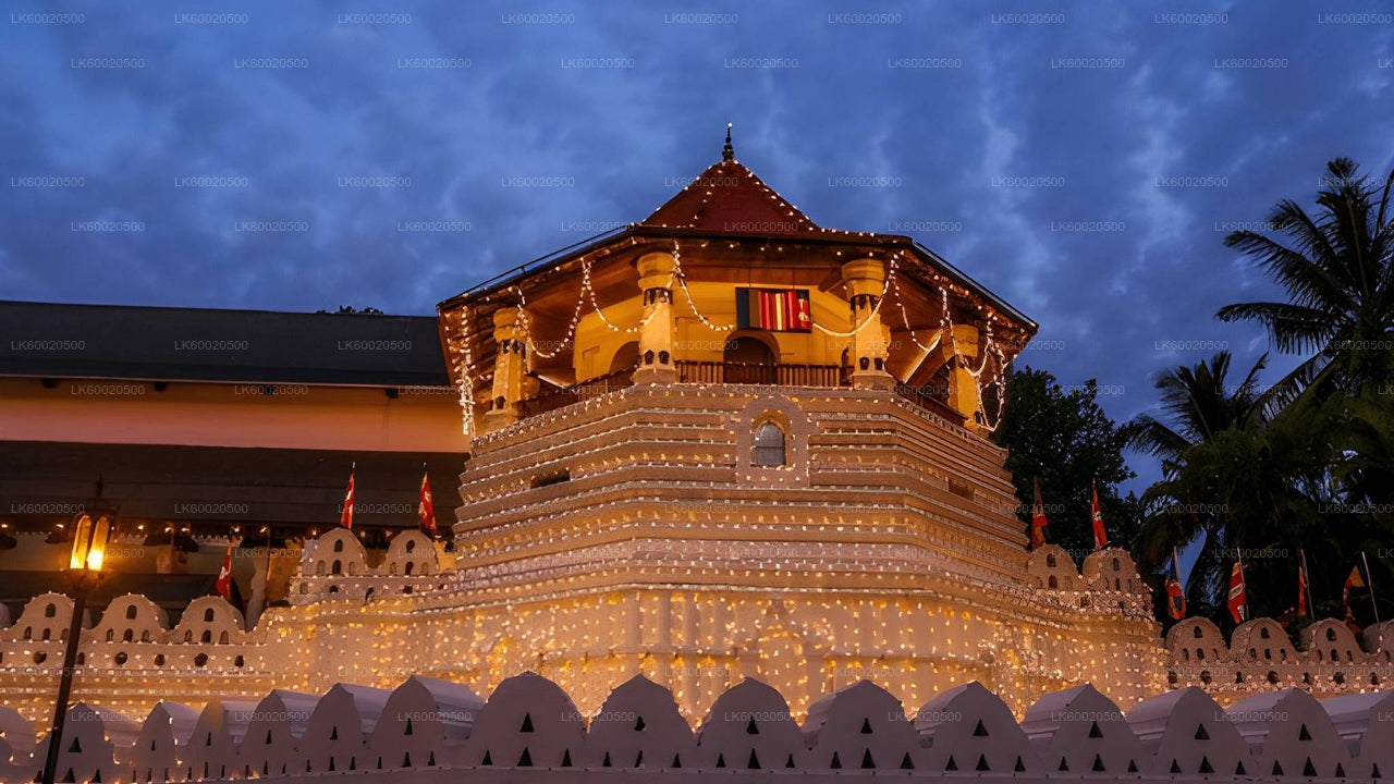 Decorative structure illuminated with lights against a dark blue sky