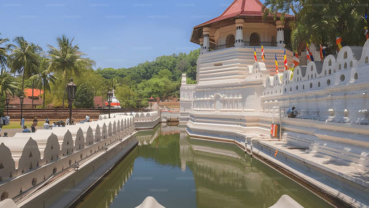 White temple with red roof surrounded by water and greenery