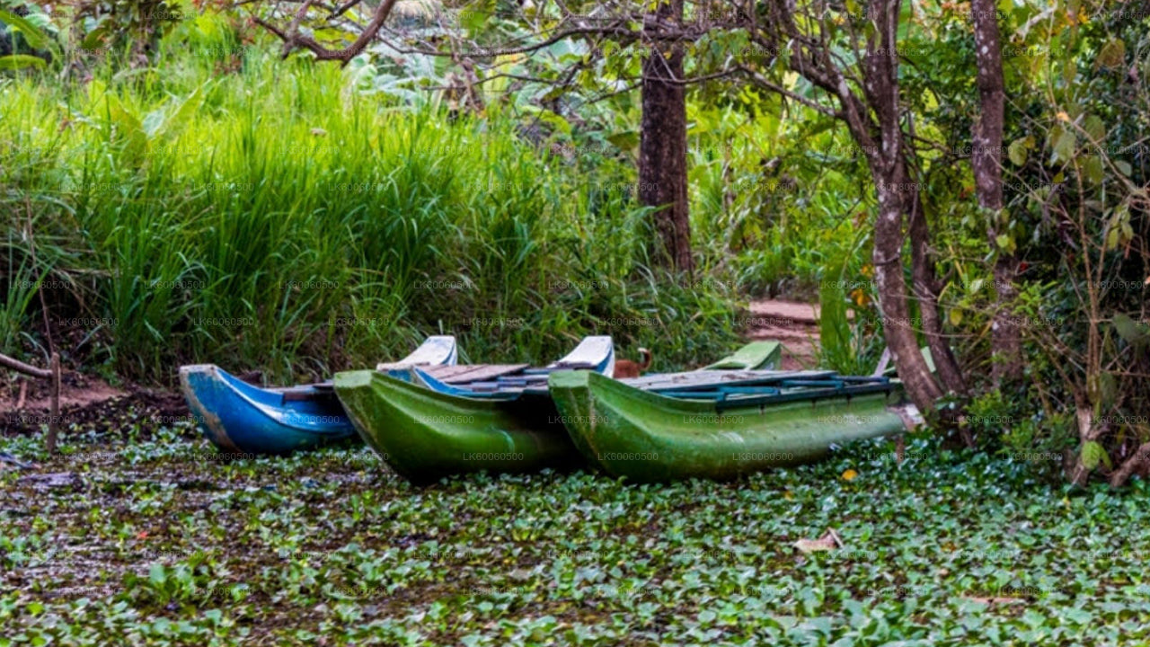 Prohlídka vesnice Hiriwadunna z Habarany
