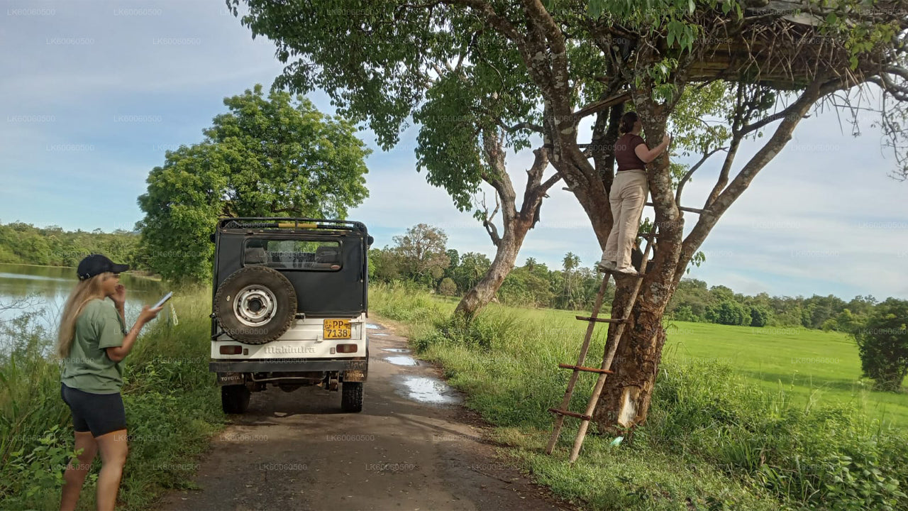 Prohlídka vesnice Hiriwadunna z Habarany