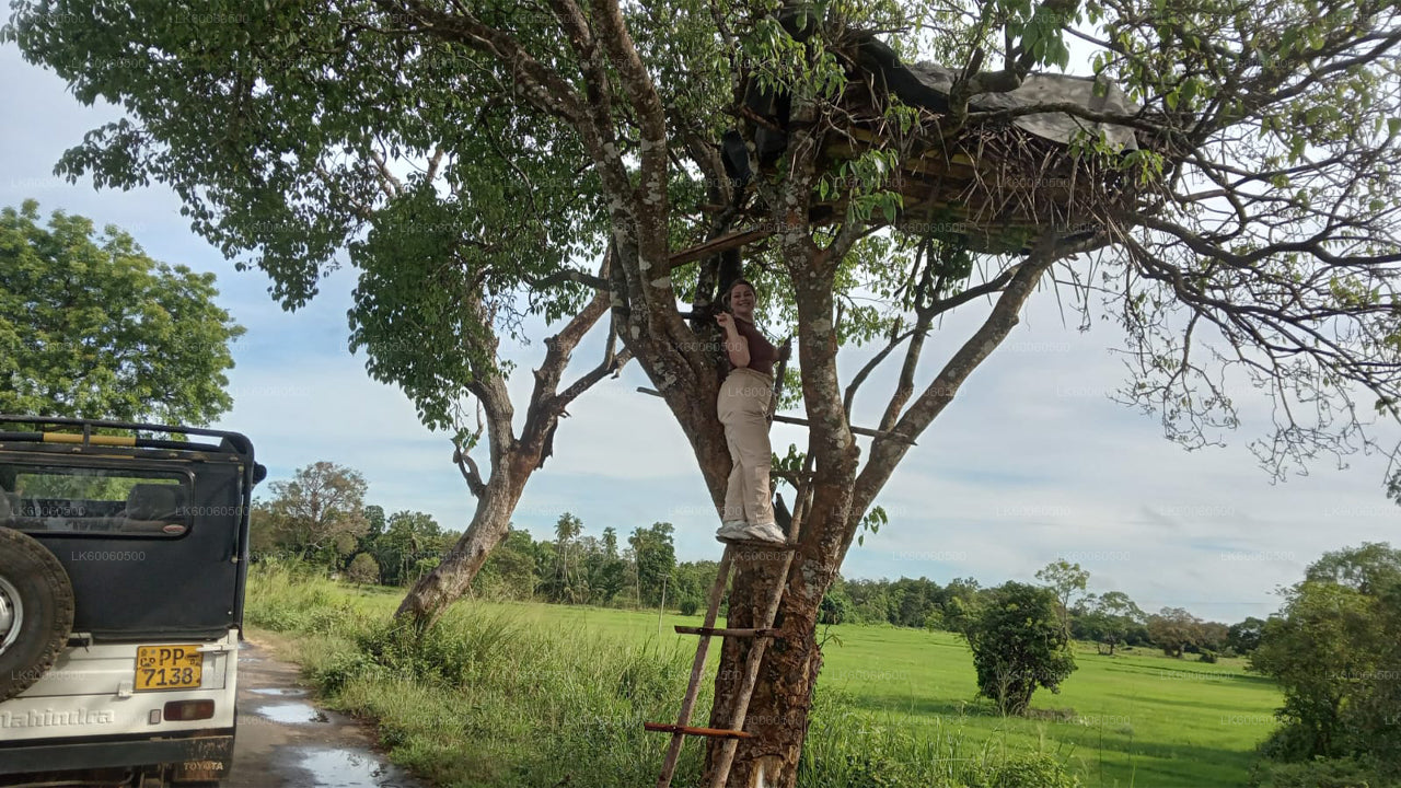 Prohlídka vesnice Hiriwadunna z Habarany