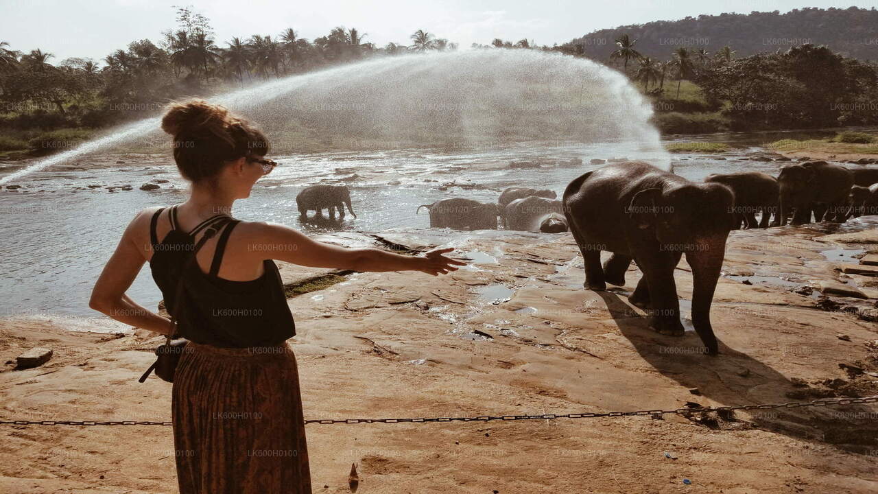 Prohlídka města Kandy z Kitulgaly