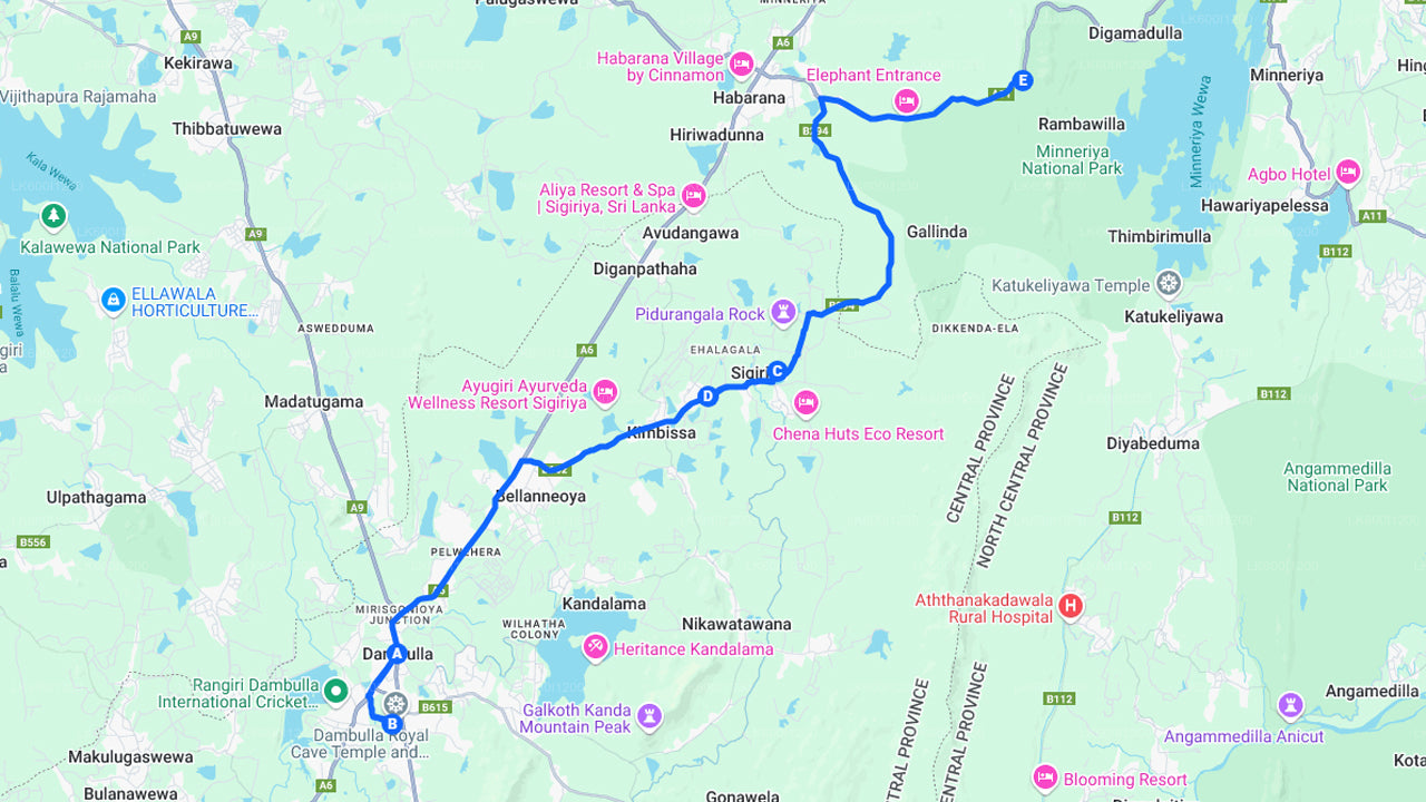 Sigiriya Rock and Wild Elephant Safari from Dambulla