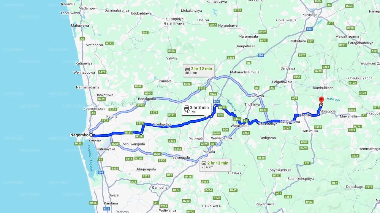 Millennium Elephant Foundation from Negombo