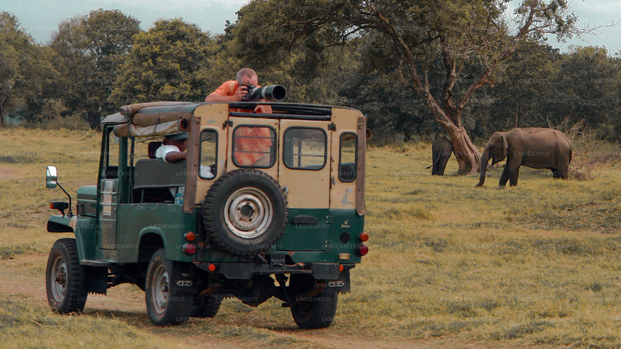 Soukromá prohlídka z Mirissy do Elly s Udawalawe Safari
