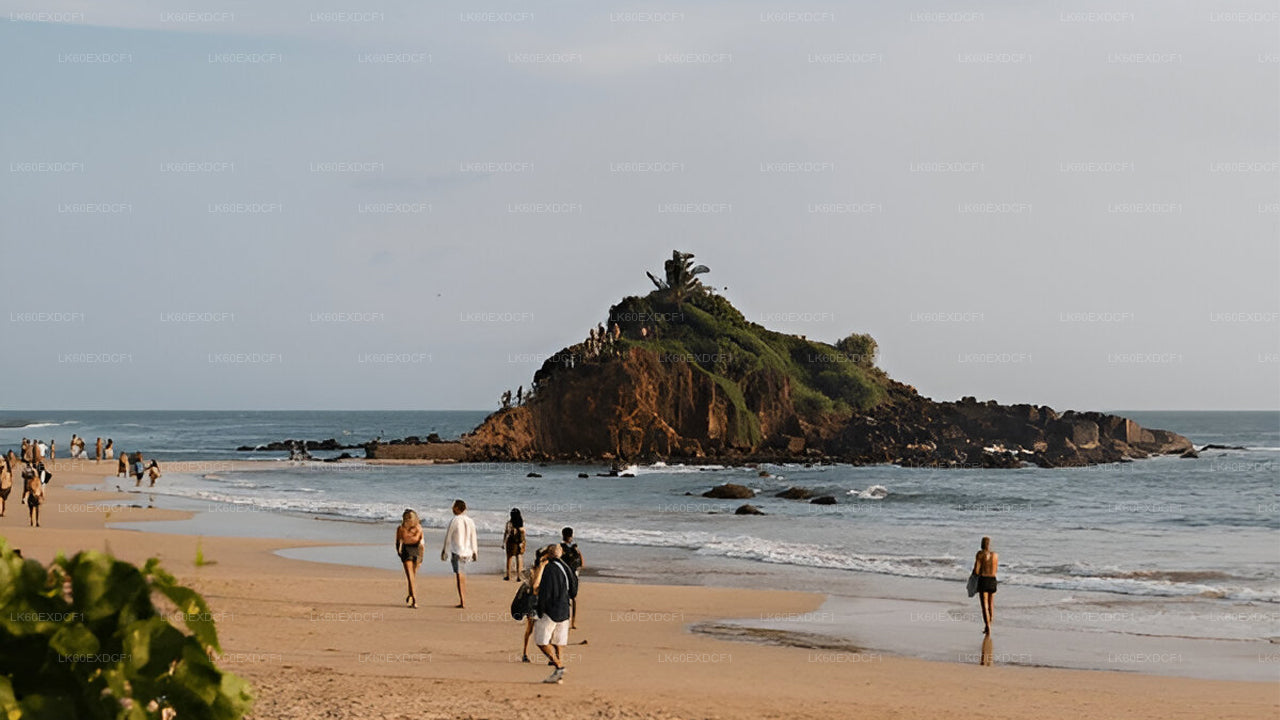 Soukromá prohlídka z Elly do Mirissy s Udawalawe Safari