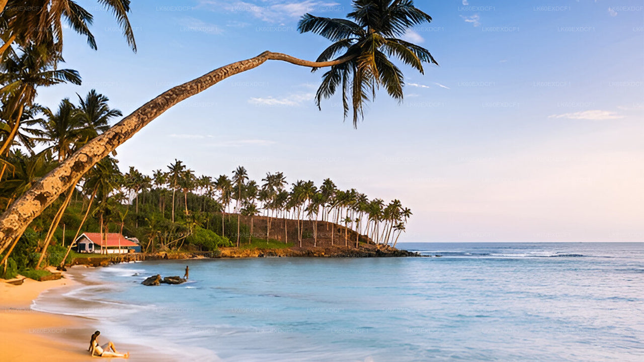 Soukromá prohlídka z Elly do Mirissy s Udawalawe Safari