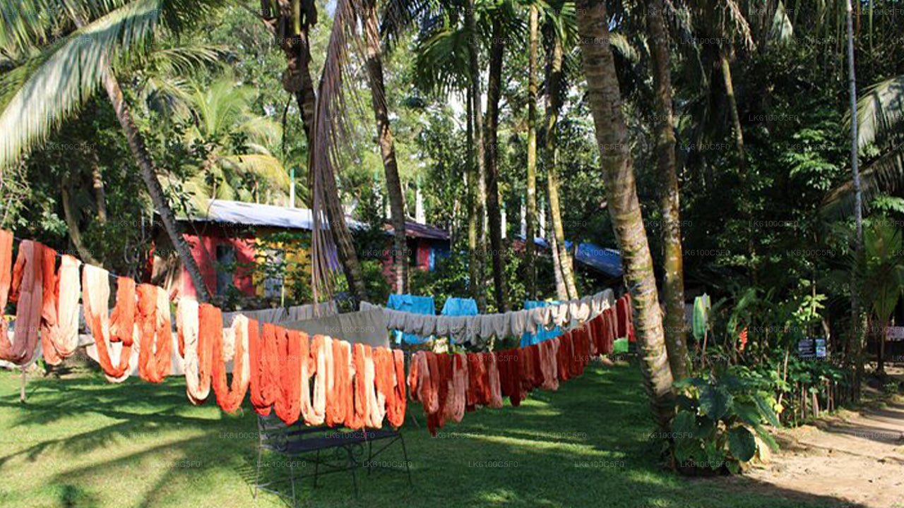 Prozkoumejte skryté klenoty Galle a povečeřte s místními obyvateli