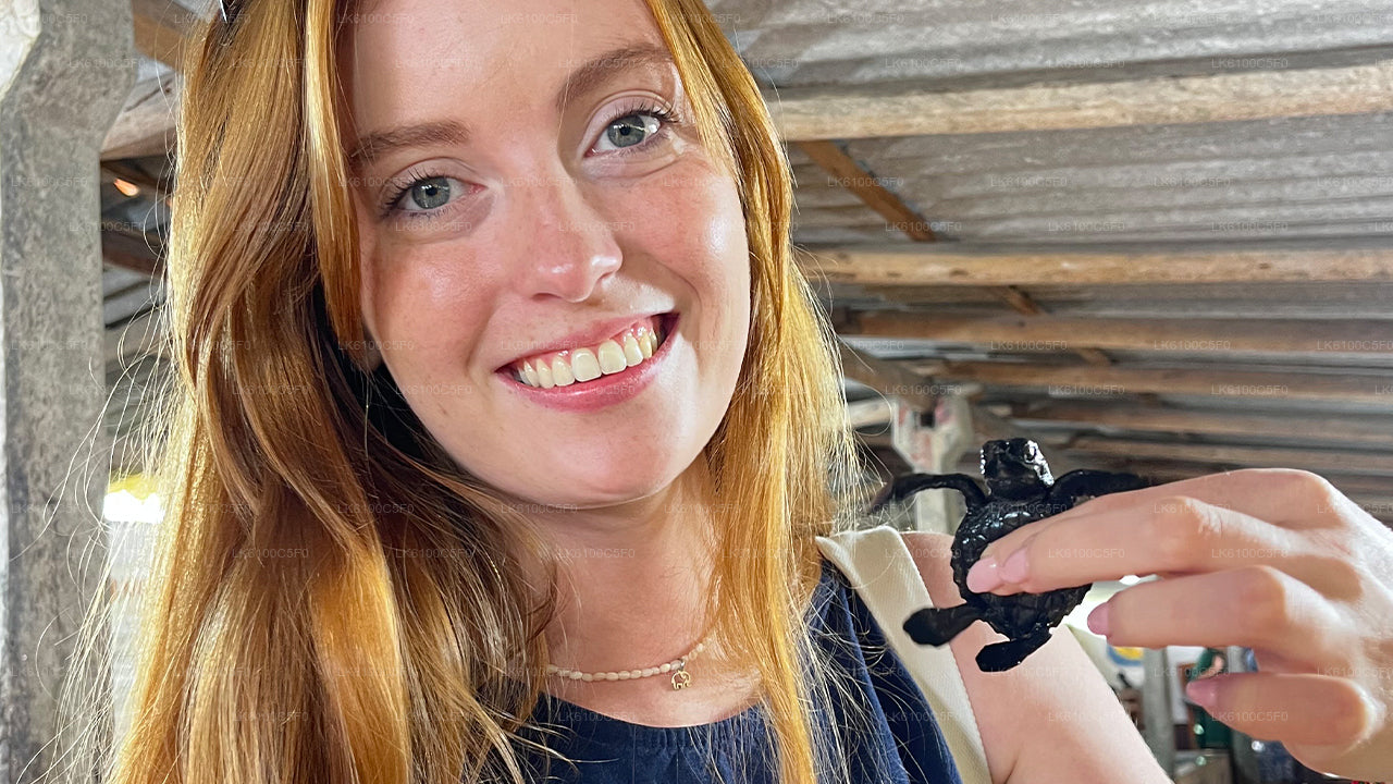 Prozkoumejte skryté klenoty Galle a povečeřte s místními obyvateli