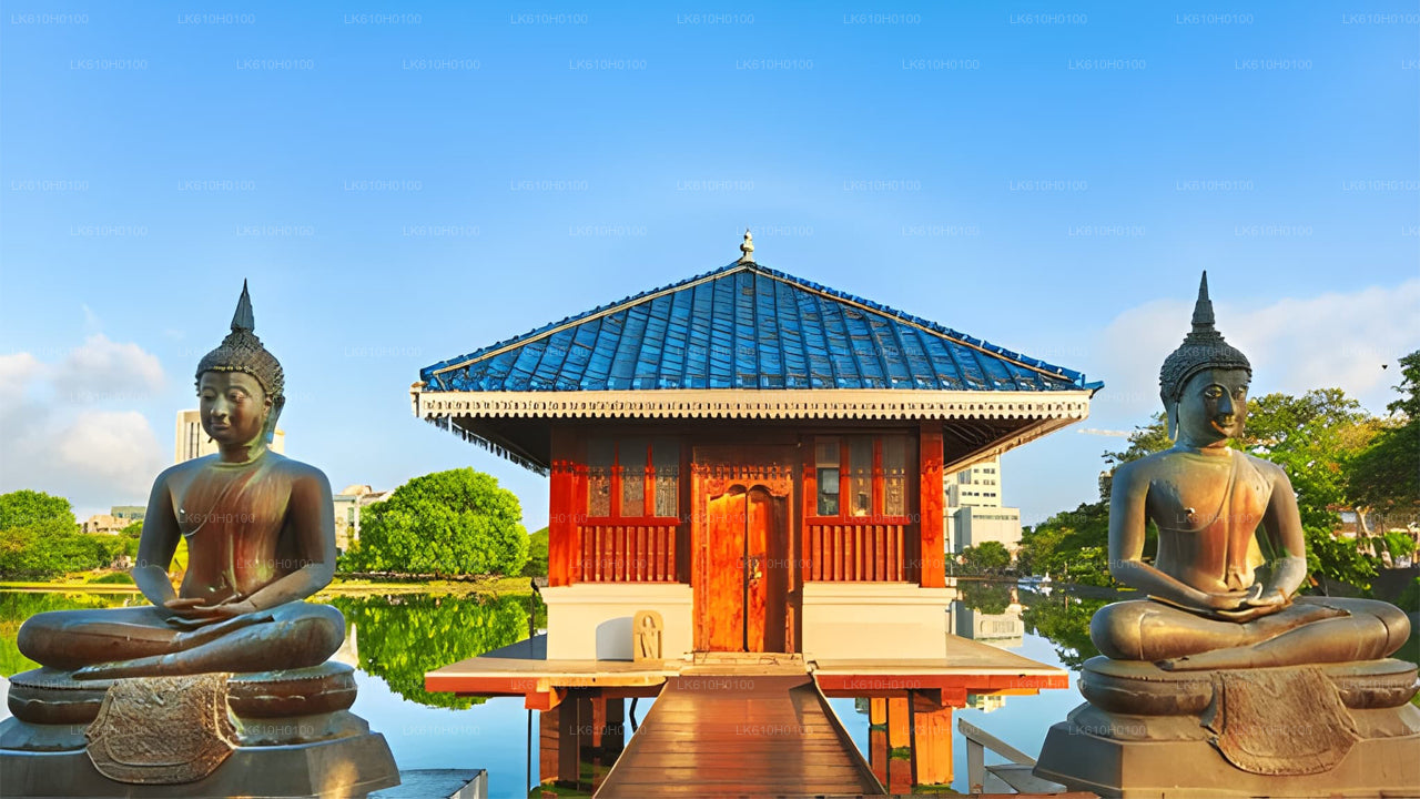 Prohlídka města Colombo z Ahungally