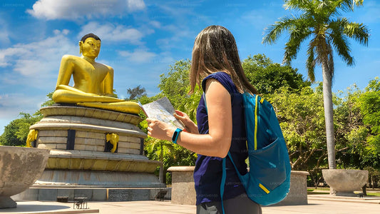 Colombo City Tour from Colombo Seaport