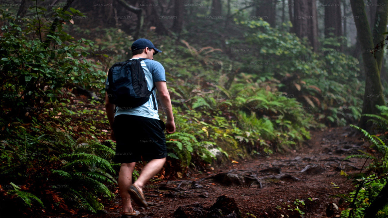 Dobrodružný výlet do deštného pralesa Sinharaja