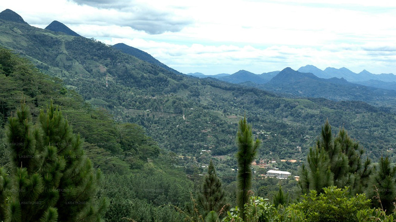 Trek k Lví skále z deštného pralesa Sinharaja