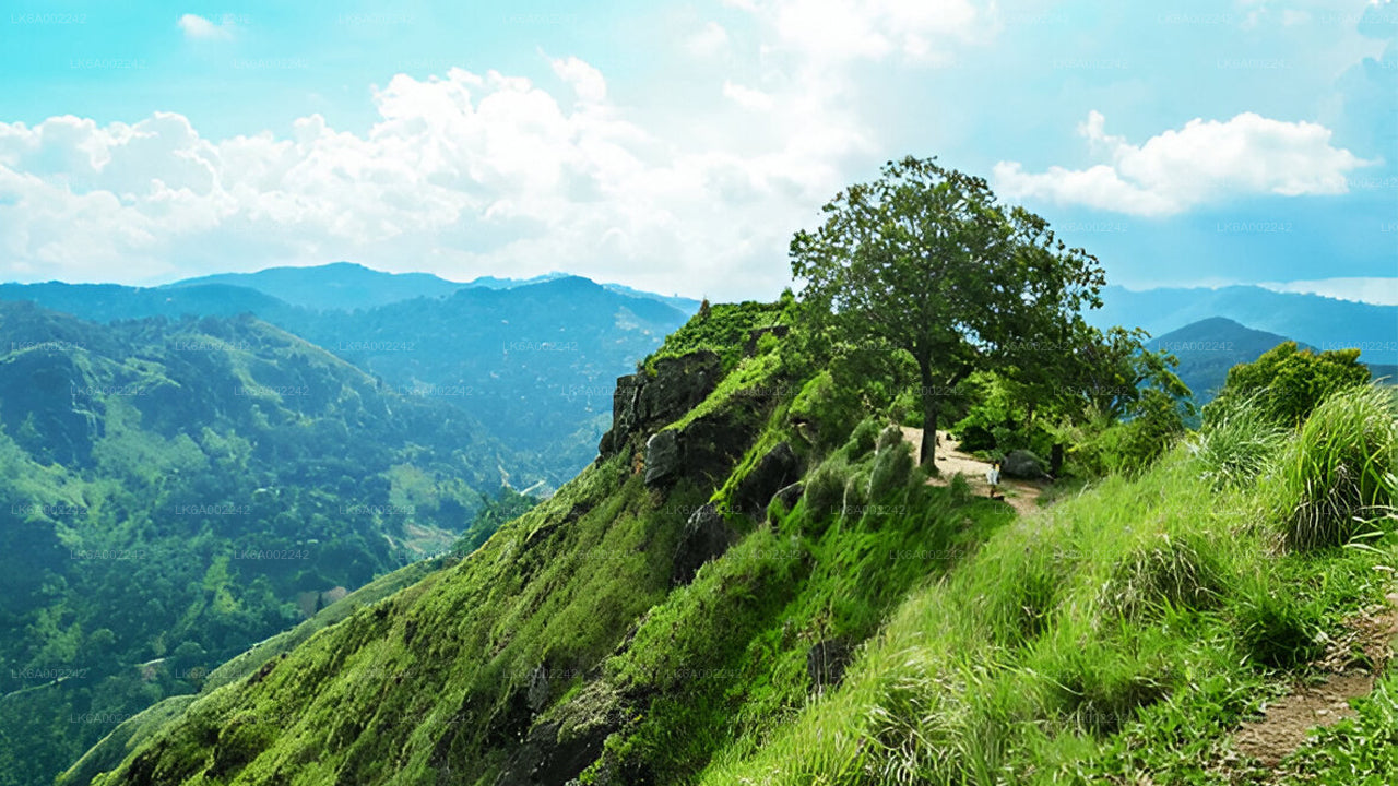 Little Adam's Peak Hike and Zip-lining from Ella
