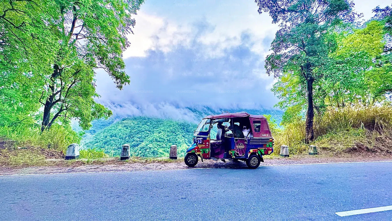 Safari tuk-tukem po jižním pobřeží z Galle