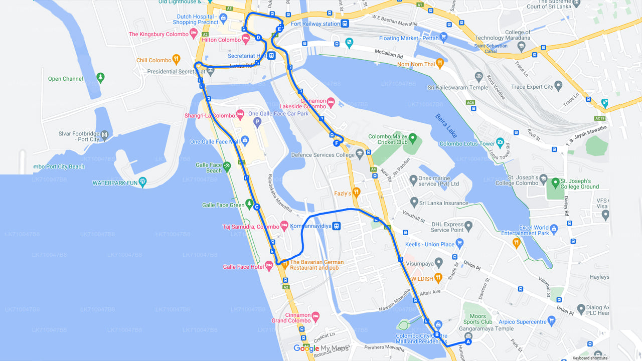 Gangaramaya Nawam Maha Perahera