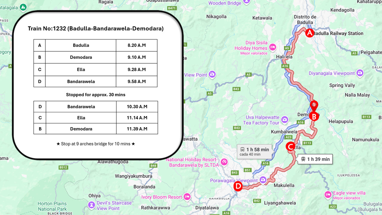 Calypso Tourist Train Ride