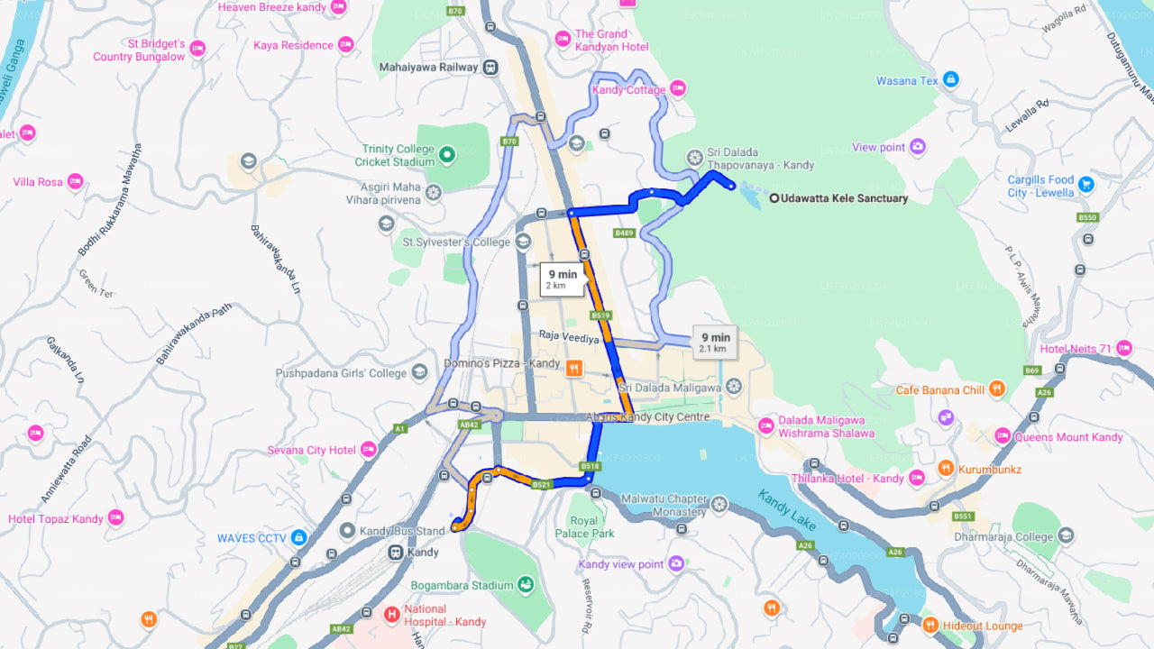Túra z Kandy do lesní rezervace Udawattakele