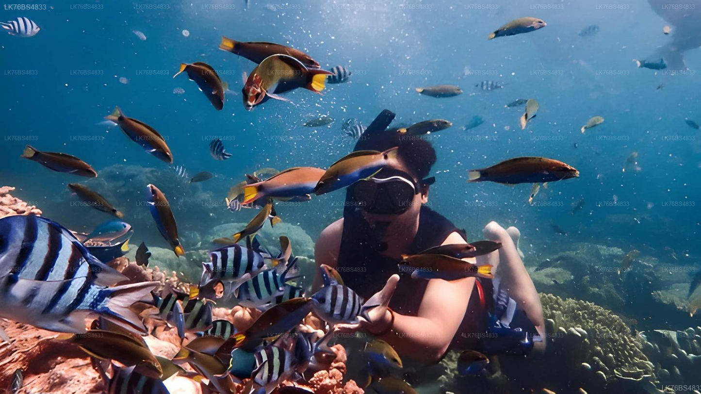 Snorkeling In Pasikudah Reef