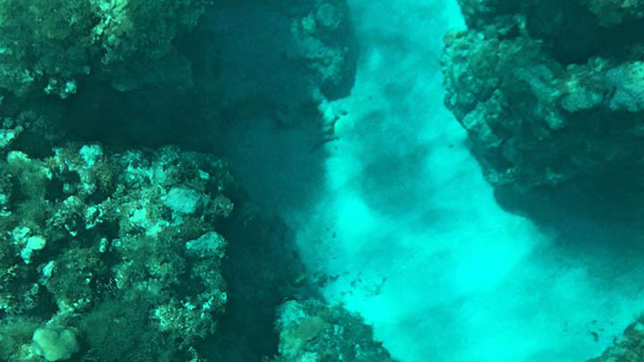 Jízda lodí se skleněným dnem z Hikkaduwy