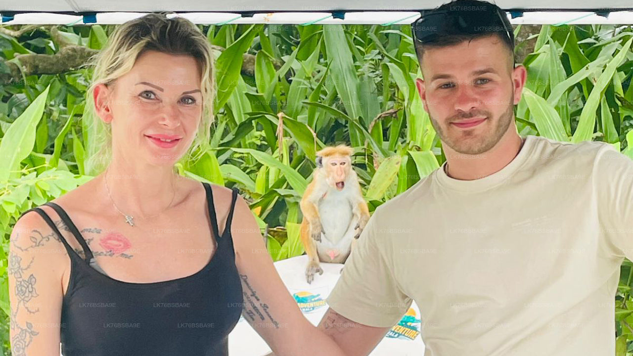 Two people standing next to a monkey in a lush green outdoor setting