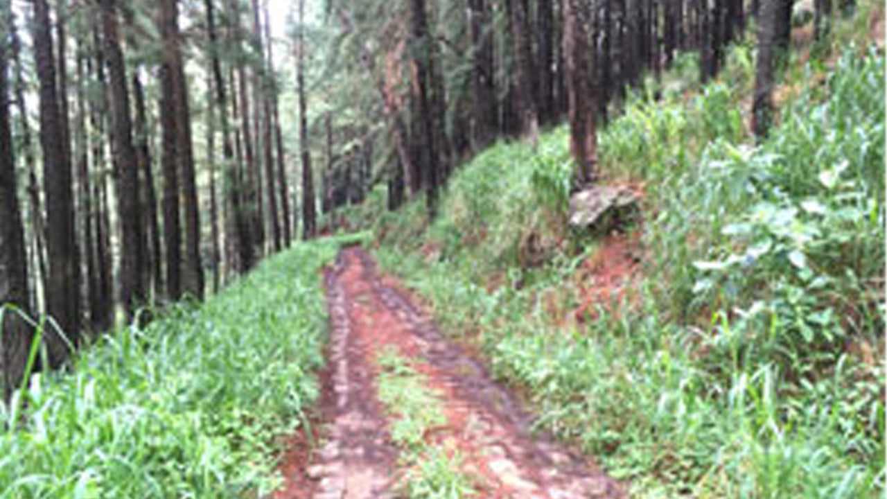MTB Knuckles East Ride from Kandy