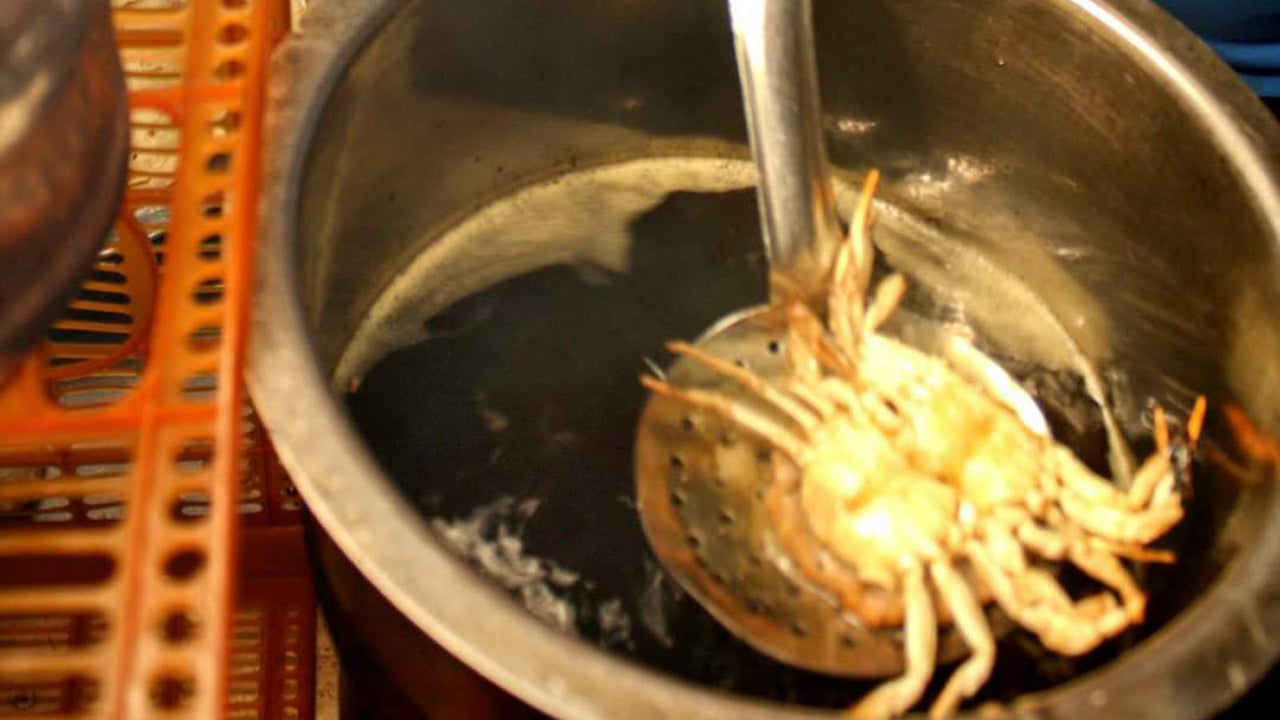 Cyklistický výlet s pouličním jídlem z Colomba