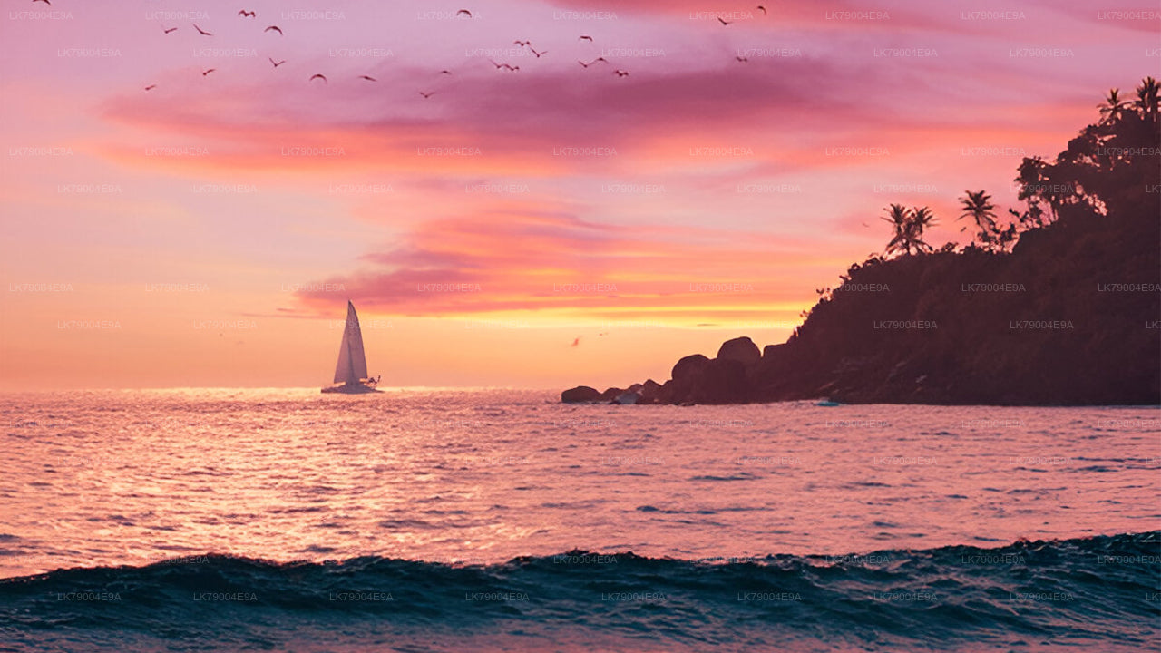 3 hour Shared Sunset Cruise from Galle